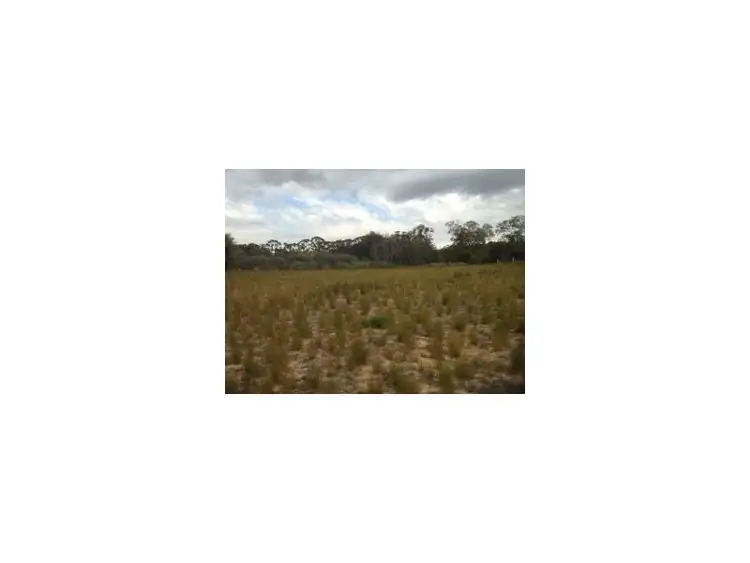 Fourth view of Homely land listing, Lot 56 Hamersley Street, Beverley WA 6304