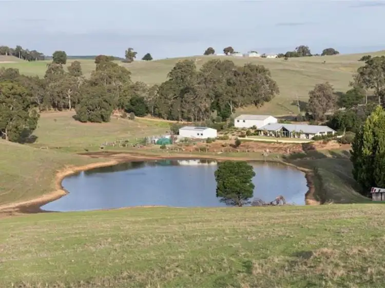 Sixth view of Homely rural property listing, 179 King Spring Road, Thomson Brook WA 6239