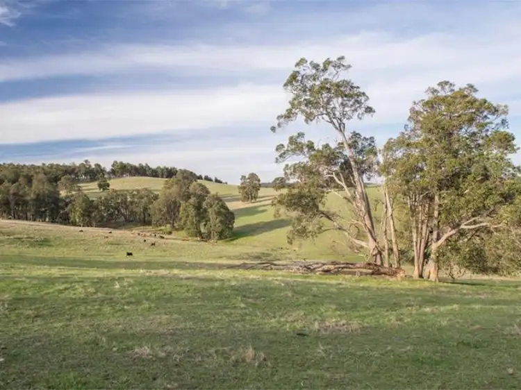 Seventh view of Homely rural property listing, 179 King Spring Road, Thomson Brook WA 6239