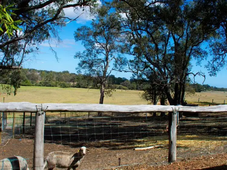 Seventh view of Homely house listing, 45 Watkins Road, Mundijong WA 6123