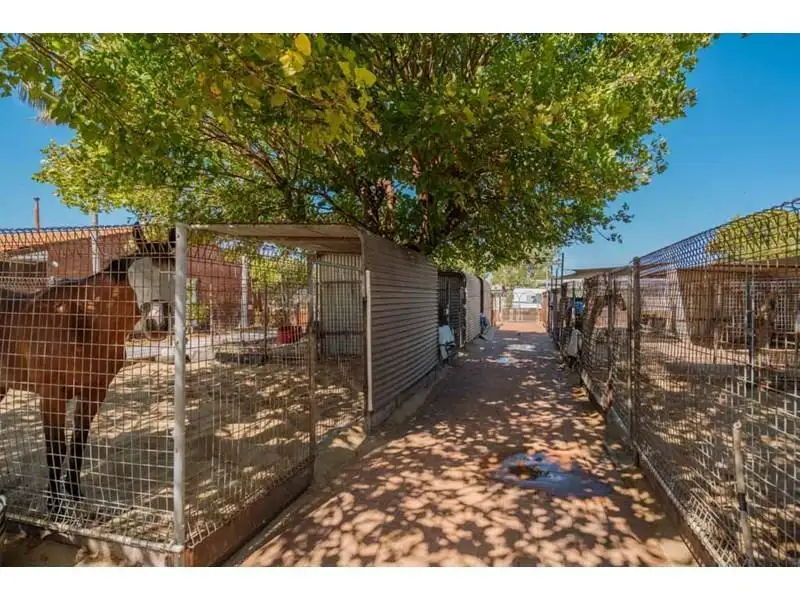 Main view of Homely house listing, 3 Kalgoorlie Street, Ascot WA 6104