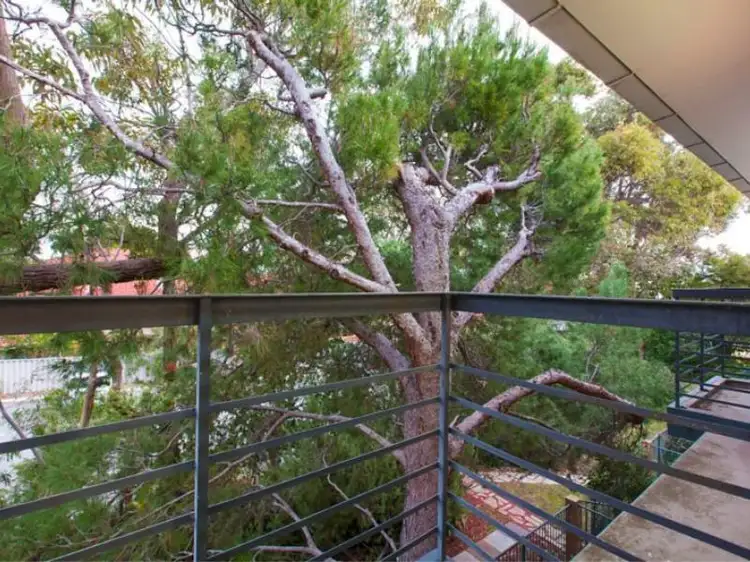 Main view of Homely apartment listing, 209/14 McNamara Way, Cottesloe WA 6011