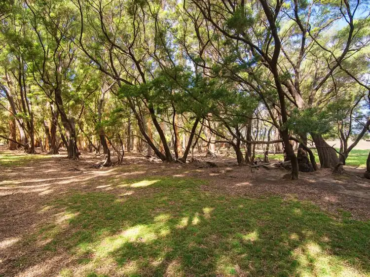 Main view of Homely land listing, Lot 1629 East Calgardup Road, Witchcliffe WA 6286