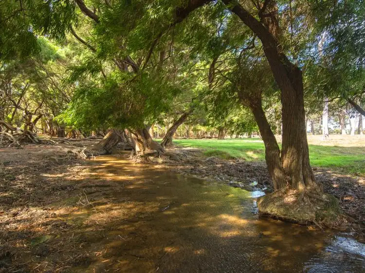 Sixth view of Homely land listing, Lot 1629 East Calgardup Road, Witchcliffe WA 6286