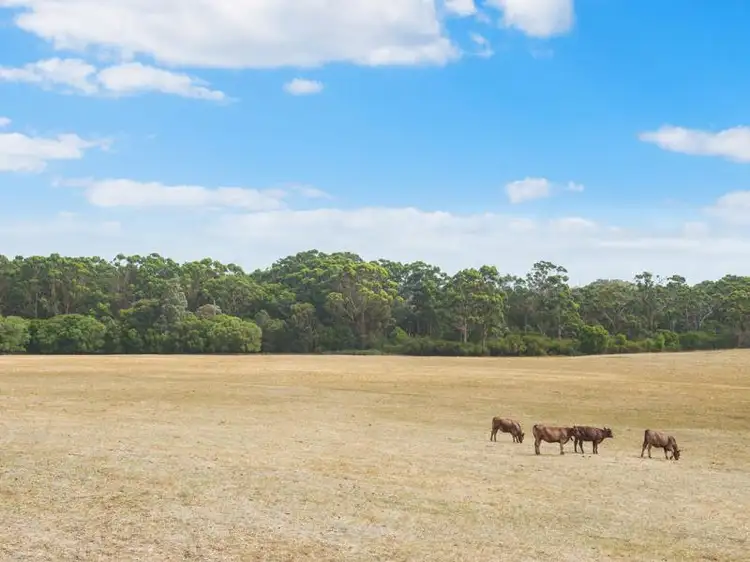 Seventh view of Homely land listing, Lot 1629 East Calgardup Road, Witchcliffe WA 6286