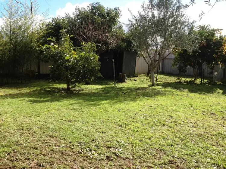 Third view of Homely house listing, 162 Wittenoom Street, Collie WA 6225