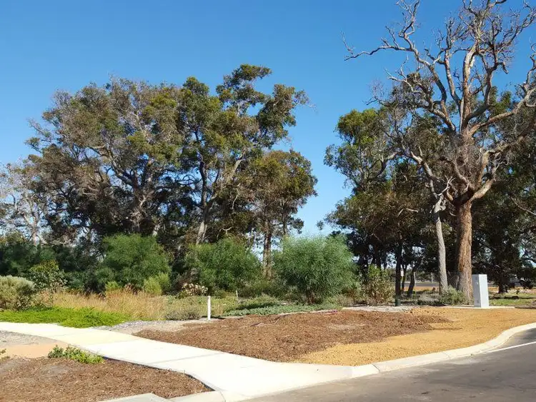Third view of Homely land listing, Lot 1114 Mackerel Avenue, Vasse WA 6280