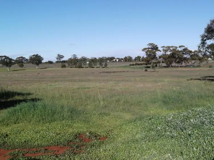 Fifth view of Homely land listing, 160 Seventh Road, Toodyay WA 6566