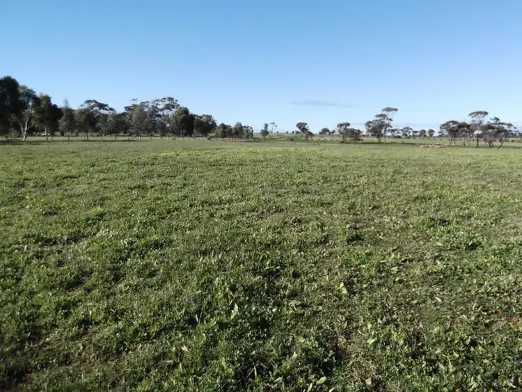 Sixth view of Homely land listing, 160 Seventh Road, Toodyay WA 6566