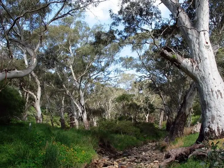 Main view of Homely land listing, Lot 8804 Inglis Alley, Ellenbrook WA 6069