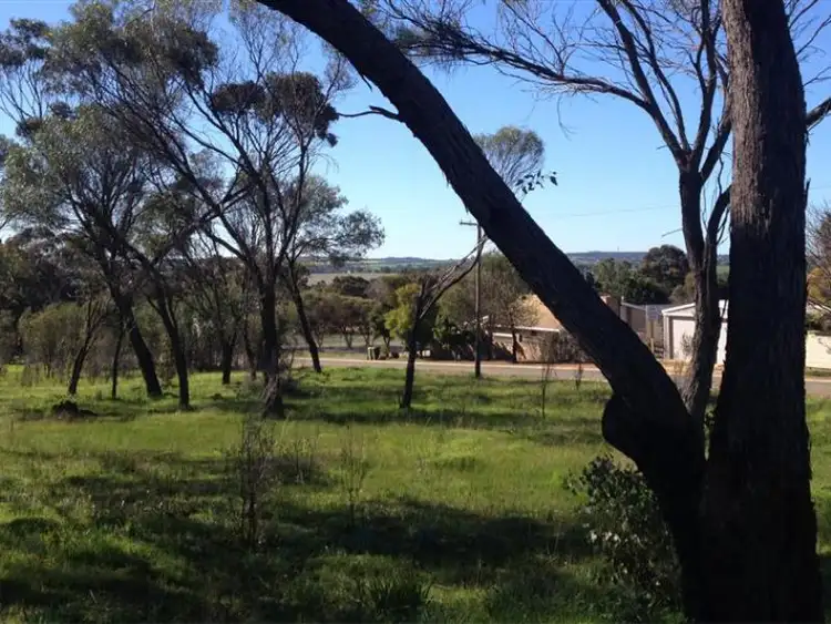 52 Park Street, Pingelly WA 6308