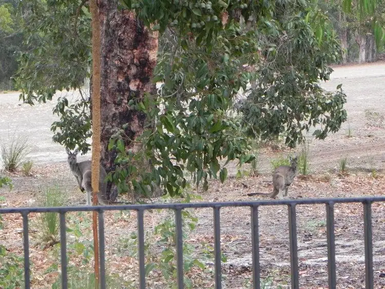 Sixth view of Homely land listing, 2/51 Hennessey Loop, Dunsborough WA 6281