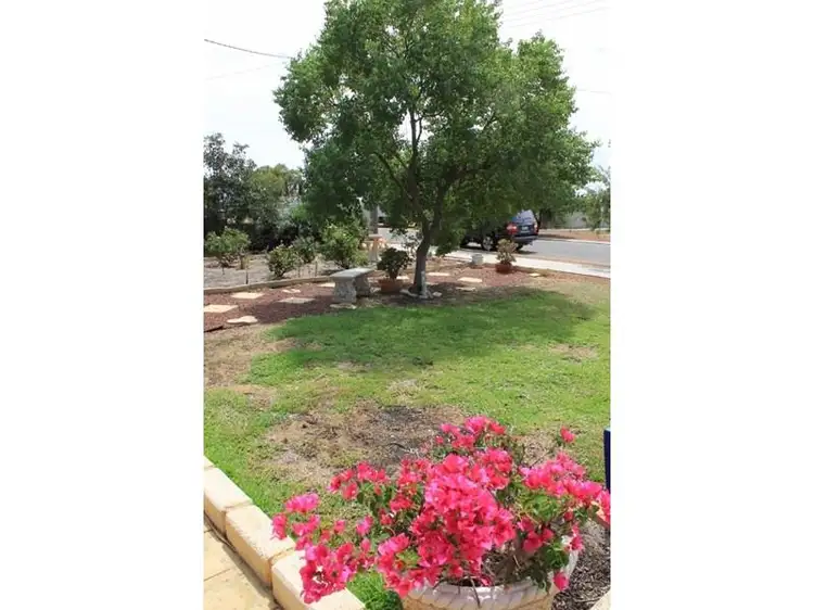 Fourth view of Homely house listing, 8 Nugent Street, Wongan Hills WA 6603