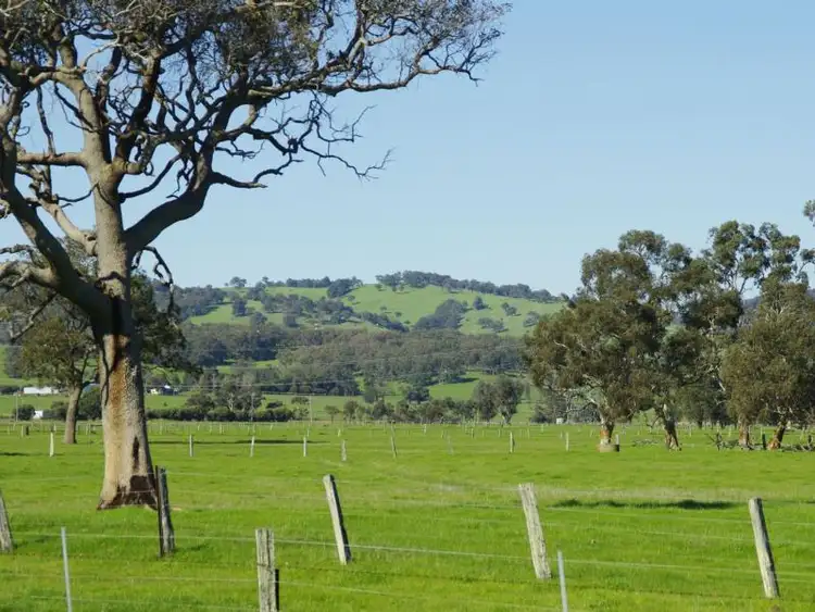 Main view of Homely rural property listing, 200 Marriott Road, Brunswick WA 6224