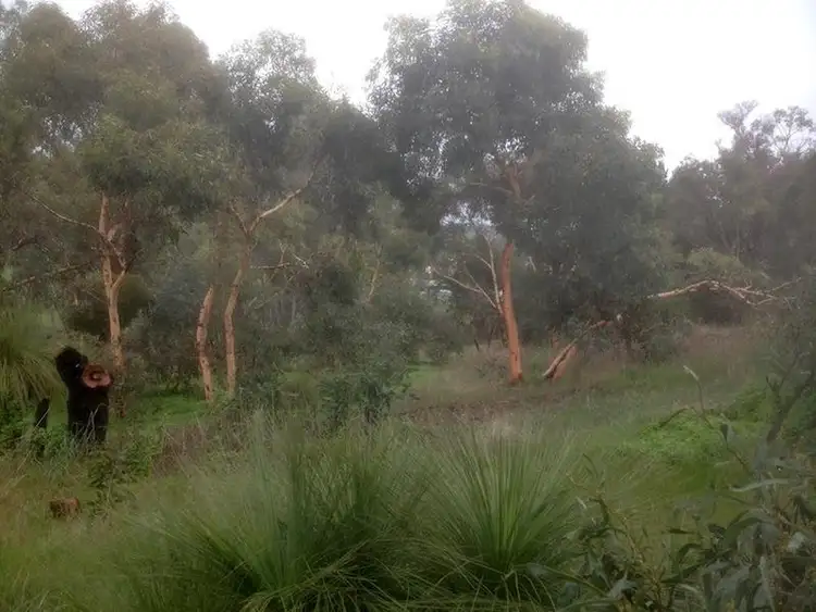 Lot 470 Hospital Road, Boyup Brook WA 6244