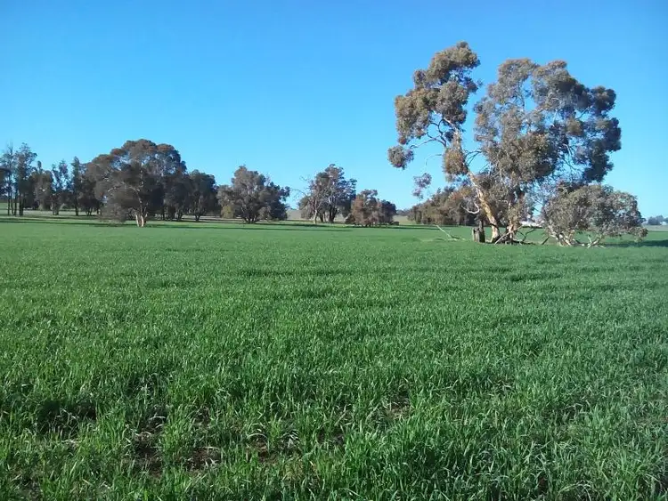 Third view of Homely rural property listing, 1245 Bolgart West Road, Bolgart WA 6568