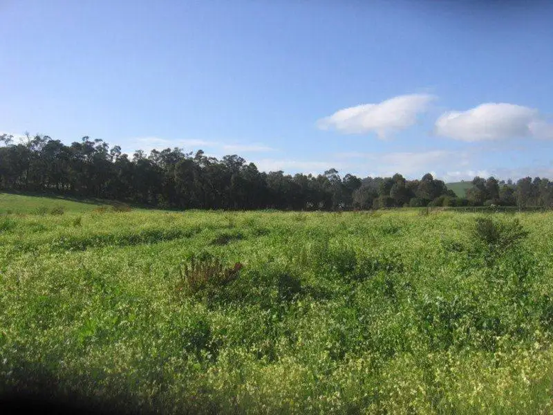 Main view of Homely rural property listing, 147 Hamilton Street, Donnybrook WA 6239