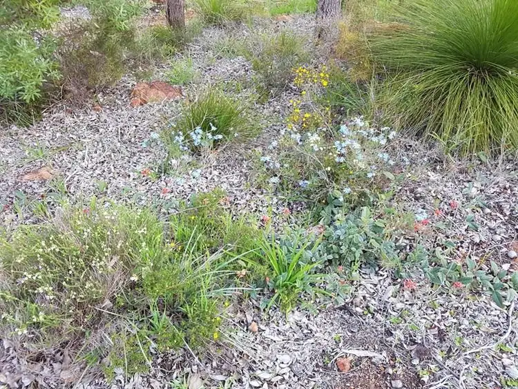 Sixth view of Homely land listing, 336 Meadowbrook Ramble, Bullsbrook WA 6084