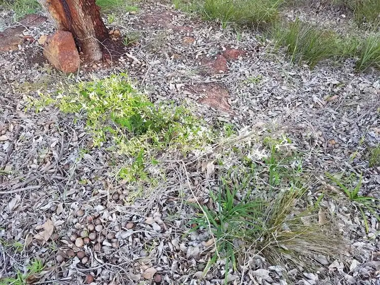 Seventh view of Homely land listing, 336 Meadowbrook Ramble, Bullsbrook WA 6084