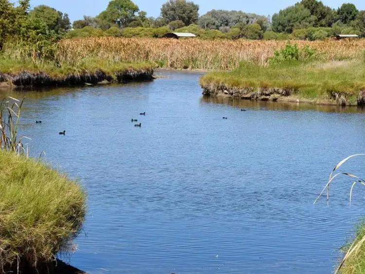Fifth view of Homely land listing, 3/1 Boab Court, South Bunbury WA 6230