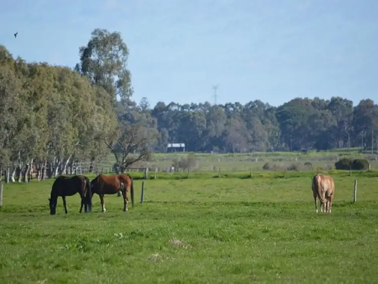 Sixth view of Homely rural property listing, Address available on request