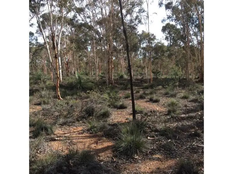 Main view of Homely land listing, 129 Wandoo Circle, Toodyay WA 6566