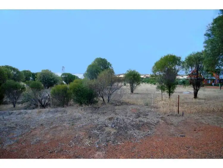 Fourth view of Homely land listing, 163 Narrogin Road, Williams WA 6391