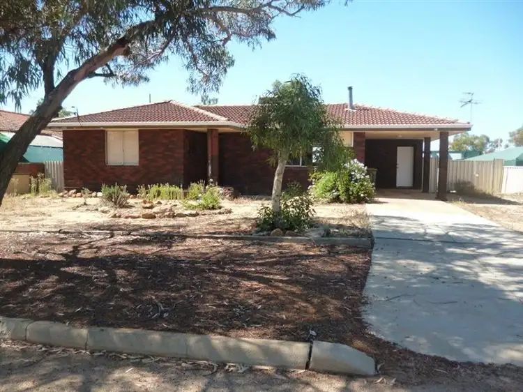 Main view of Homely house listing, 20 Price Street, Kulin WA 6365