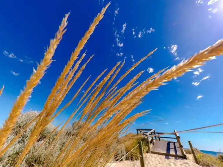 Third view of Homely land listing, LOT 2303 Bendalong Boulevard, Secret Harbour WA 6173