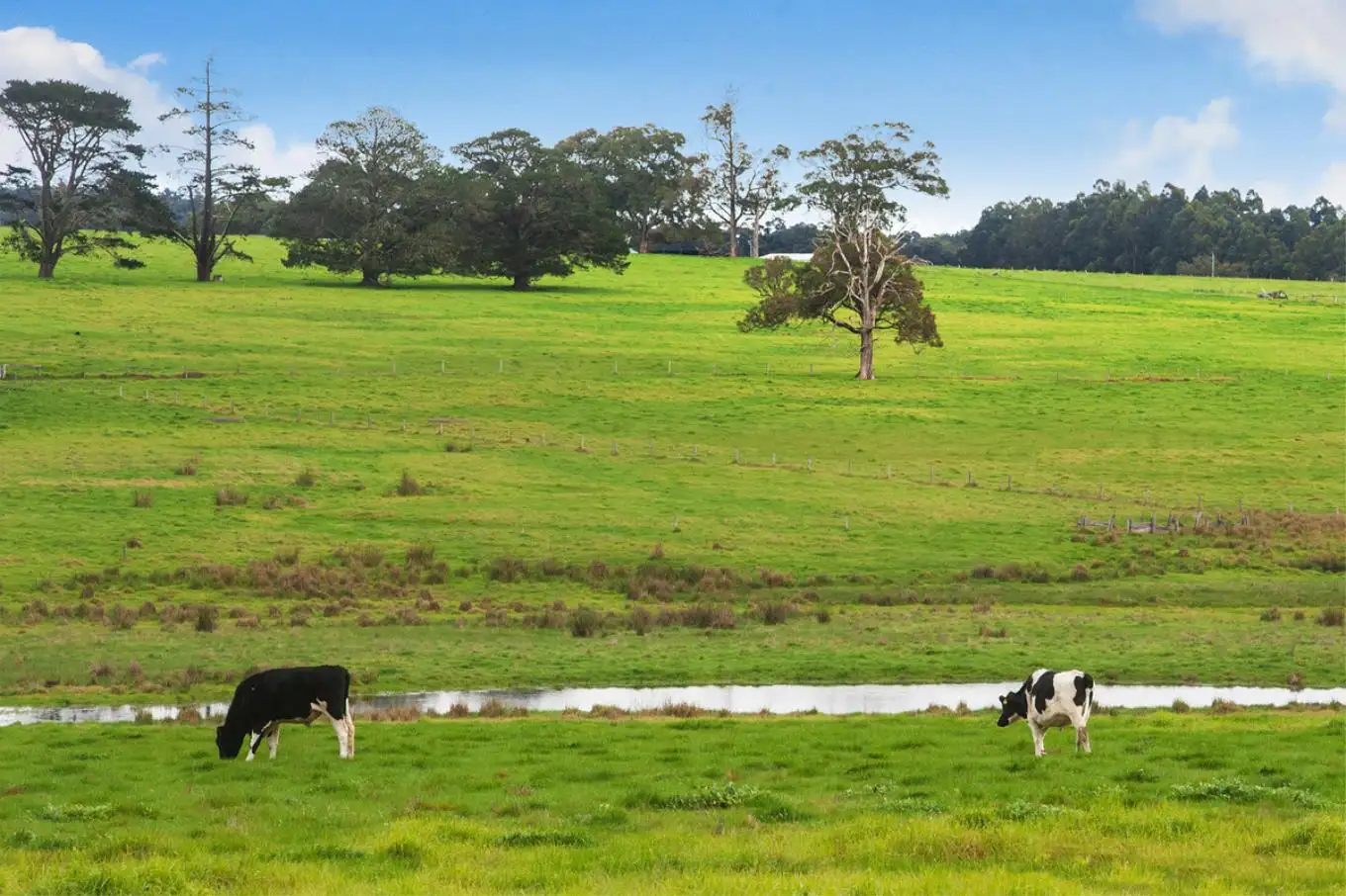 Main view of Homely land listing, 1073 Rosa Brook Road, Rosa Brook WA 6285