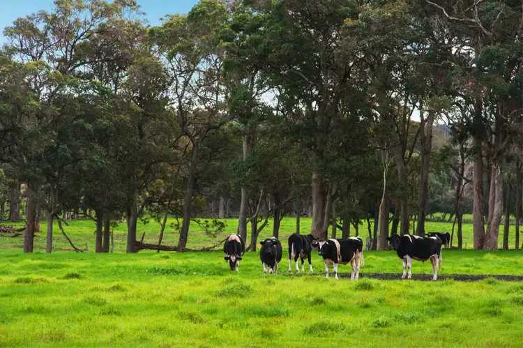 Third view of Homely land listing, 1073 Rosa Brook Road, Rosa Brook WA 6285