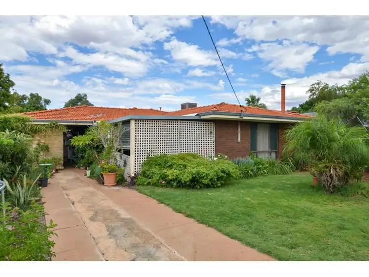 Main view of Homely house listing, 161 Campbell Street, Lamington WA 6430