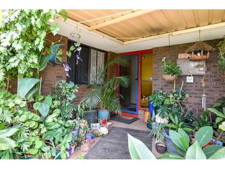 Second view of Homely house listing, 161 Campbell Street, Lamington WA 6430