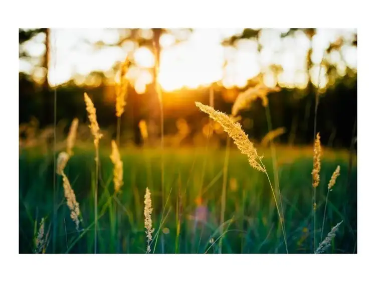 Third view of Homely land listing, Lot 24 Churchill Chase, Hilbert WA 6112