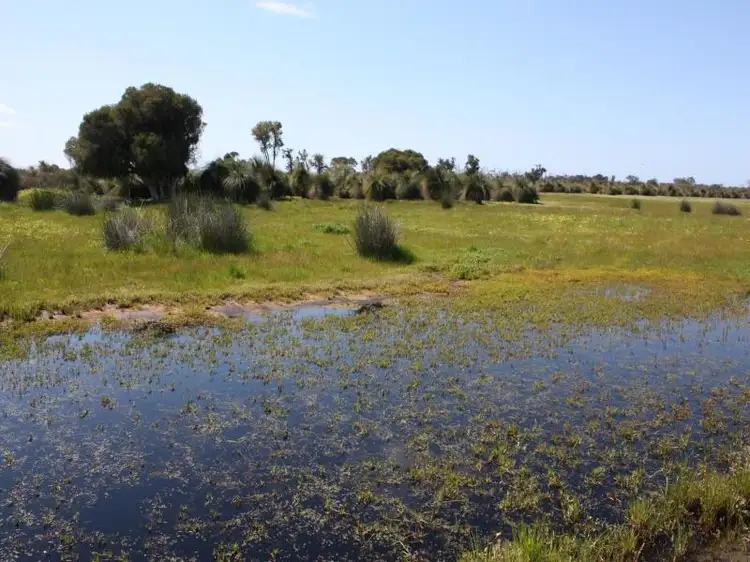 Main view of Homely rural property listing, Lot 123 Gingin Brook Road, Muckenburra WA 6503