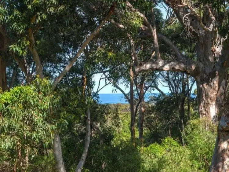 Fourth view of Homely house listing, 46 Colyer Drive, Hamelin Bay WA 6288