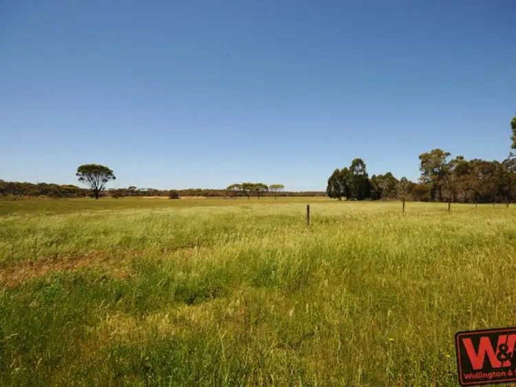 Fourth view of Homely rural property listing, 5259 Waterman Road, Mount Barker WA 6324