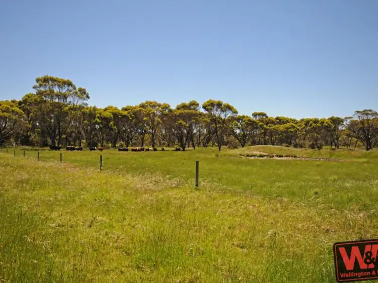 Fifth view of Homely rural property listing, 5259 Waterman Road, Mount Barker WA 6324