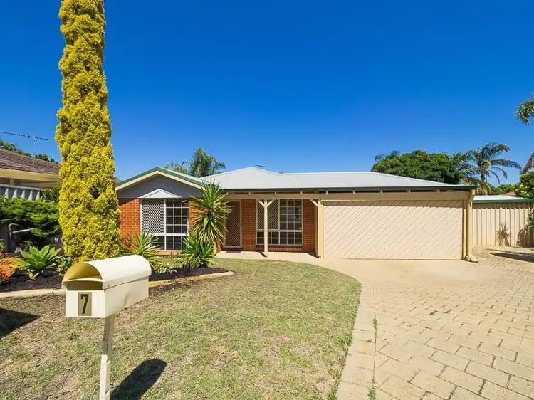 Main view of Homely house listing, 7 Monstera Court, Alexander Heights WA 6064