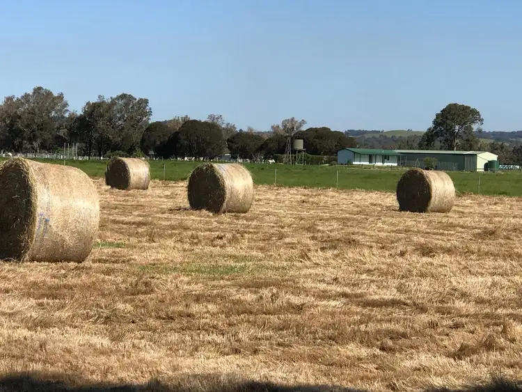 Lot 131 Herbert Road, Harvey WA 6220