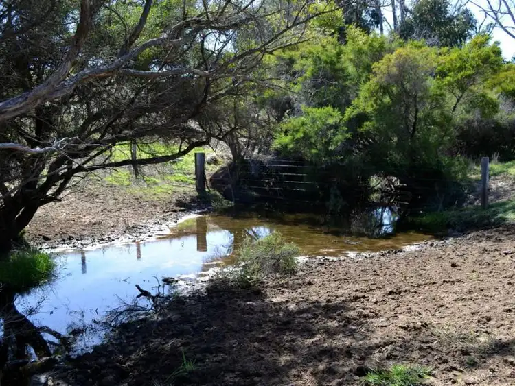 Fifth view of Homely rural property listing, Lot 381, 381 Upper Capel Road, Brazier WA 6251