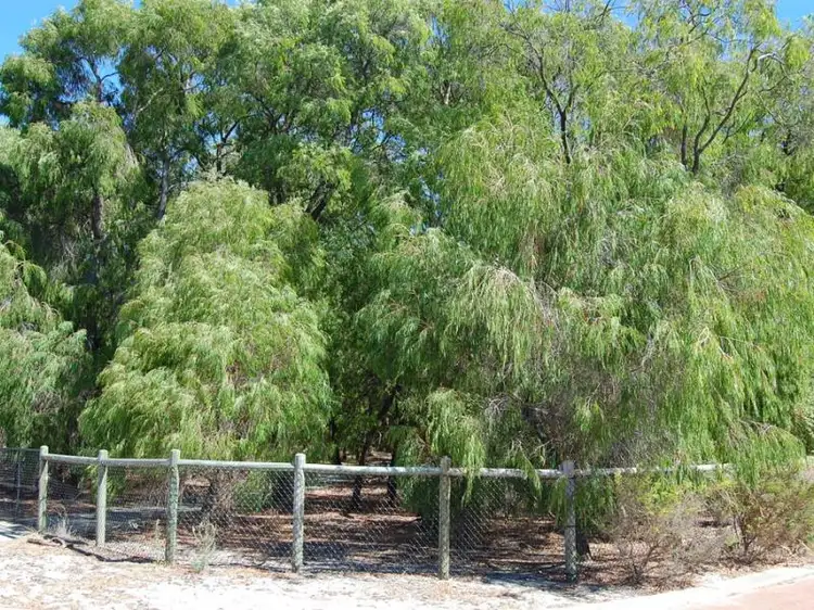 Third view of Homely land listing, 8 Latrobe Place, Abbey WA 6280