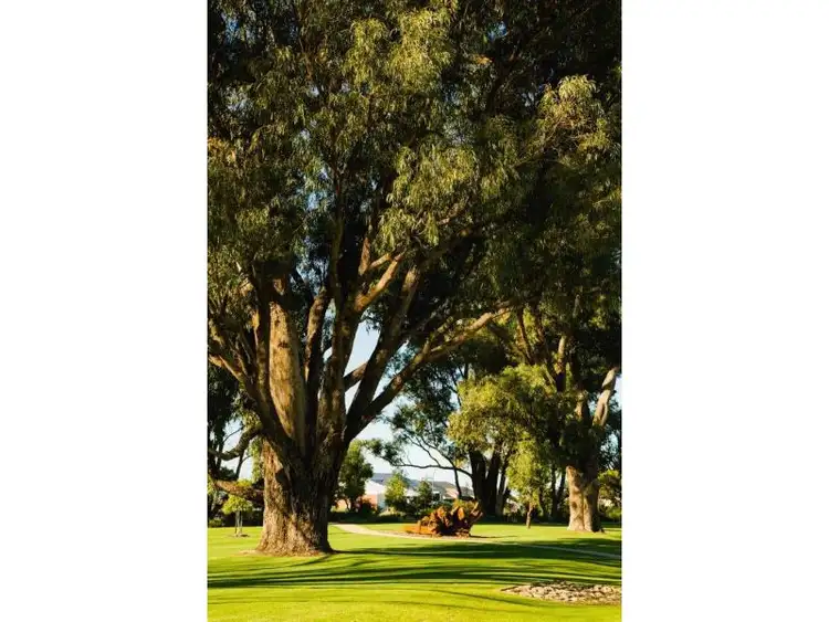 Third view of Homely land listing, LOT 264 Equinox Loop, Wellard WA 6170