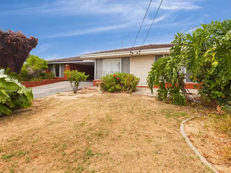Main view of Homely house listing, 48 Castle Street, North Beach WA 6020