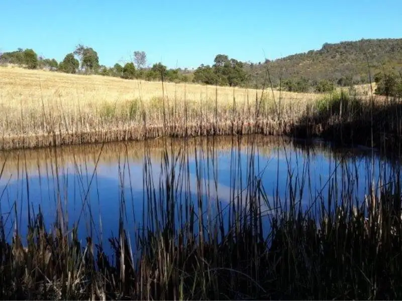 Main view of Homely rural property listing, 258 Gallahawk Road, Bindoon WA 6502