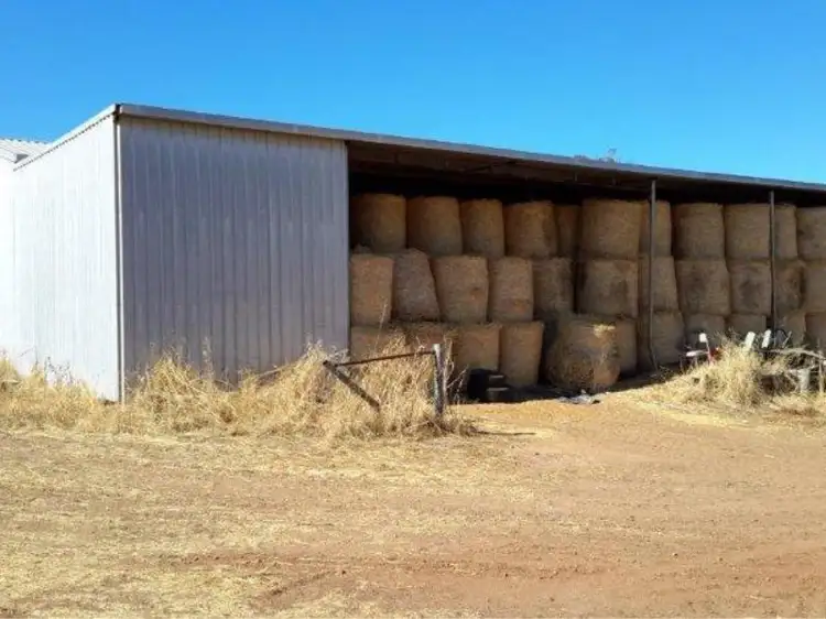 Fourth view of Homely rural property listing, 258 Gallahawk Road, Bindoon WA 6502