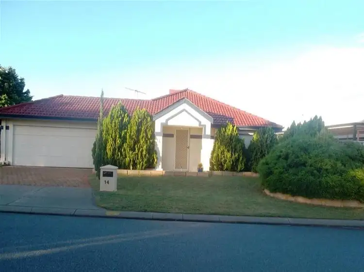 Main view of Homely house listing, 14 Silkhurst Crescent, Warnbro WA 6169
