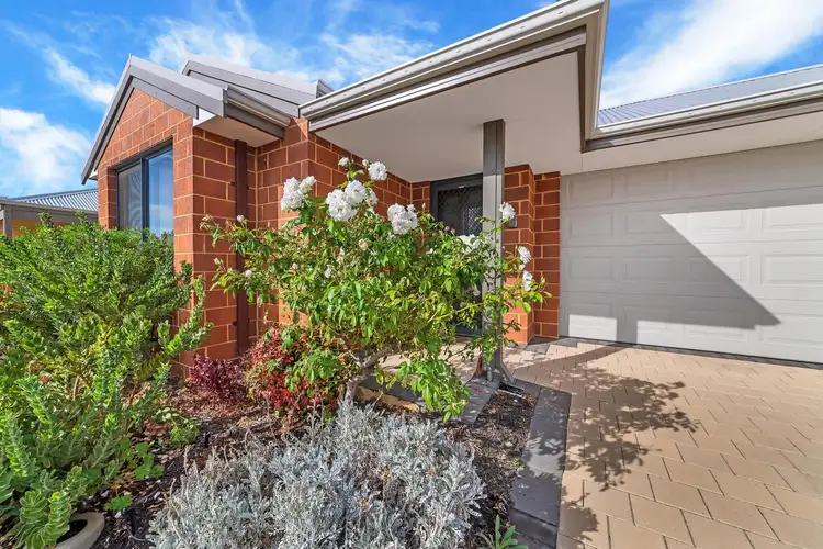 21 Wickham Drive, Pinjarra WA 6208