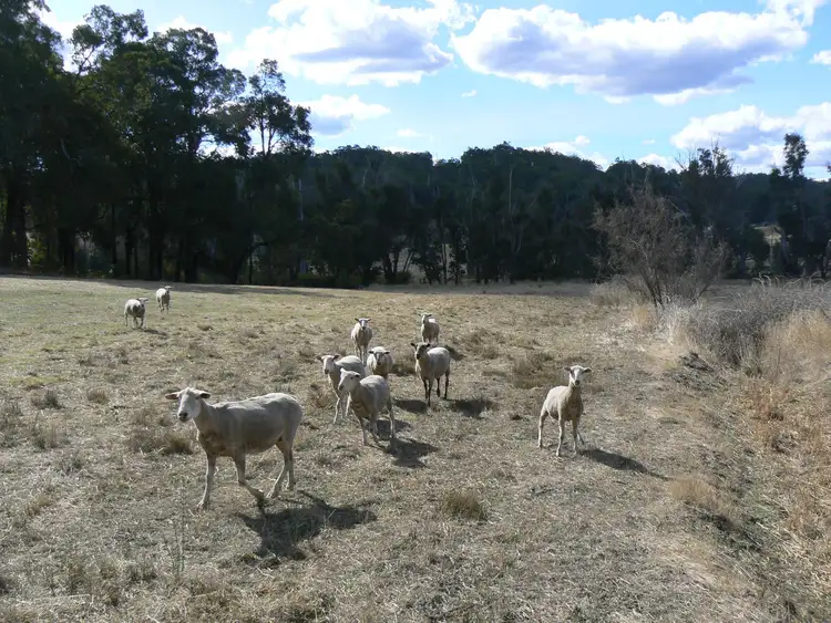 Sixth view of Homely rural property listing, Lot 20, Yabberup Road, Yabberup WA 6239