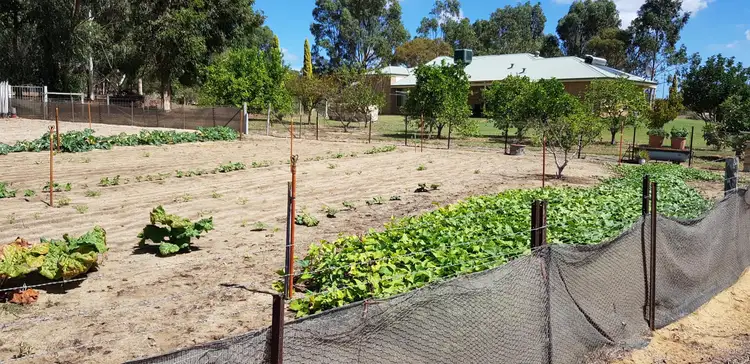 Third view of Homely rural property listing, 886 Chitna Road, Neergabby WA 6503